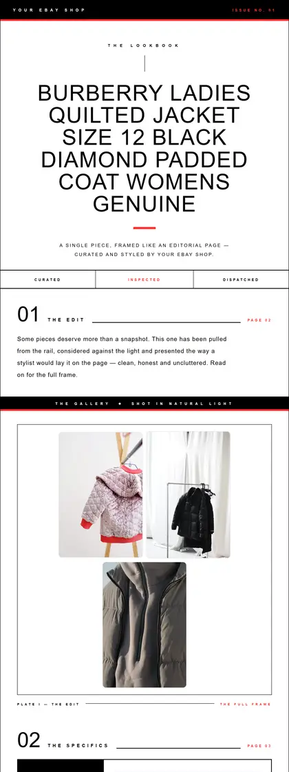 Runway Noir — Fashion — DashVue eBay listing template